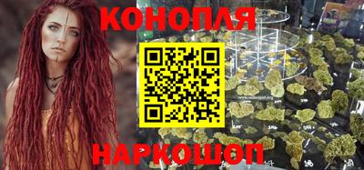 прущие грибы Шелехов